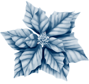 BC-ATaste-Of-Winter-El-66