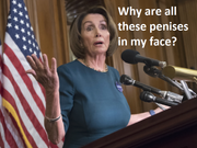 Pelosi penises face