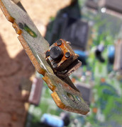 Mitsumi-CRCM-FX400E-031