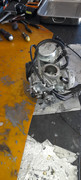 20231109-102926.jpg