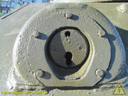 IMG-5599
