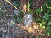 IMG 20251221 133942854 HDR