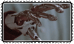 620ad3cef3debc56e3a800be7a1a45ac529a563e