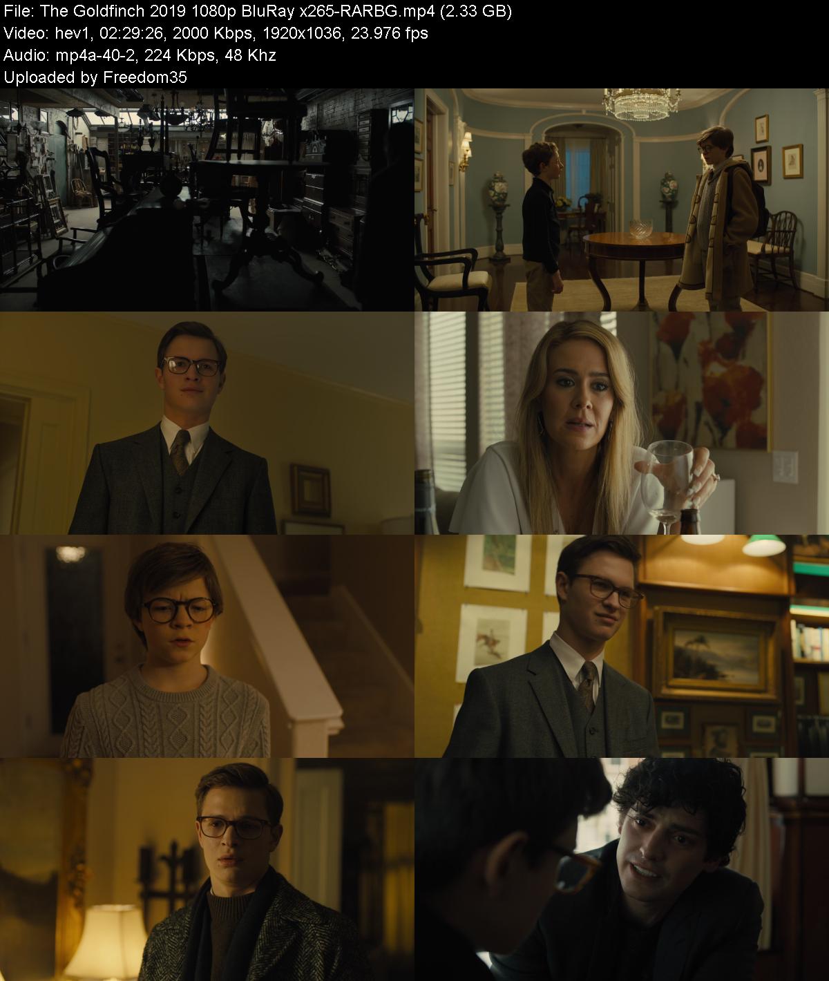 The-Goldfinch-2019-1080p-Blu-Ray-x265-RA