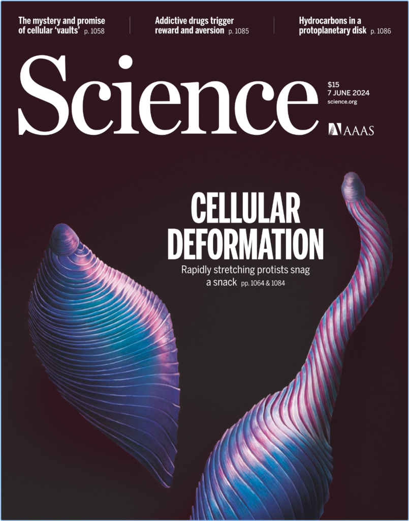 [Image: fa04c4gvd1pl.png]