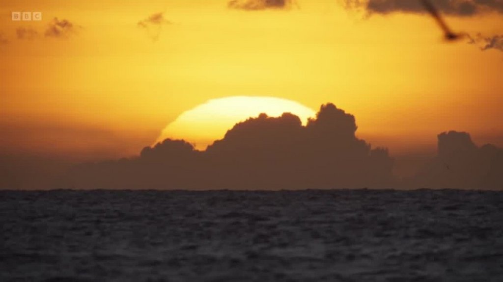 [Image: 30tfs1n5oczc.jpg]