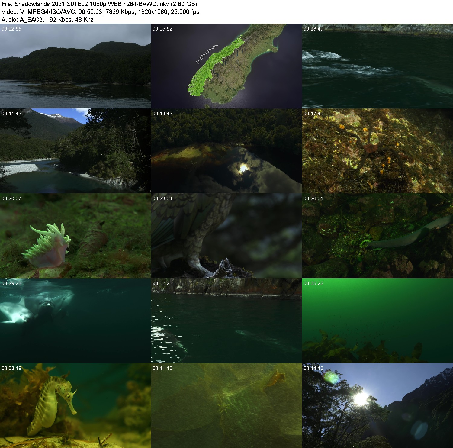 [Image: b64fjdv5l4kb.jpg]