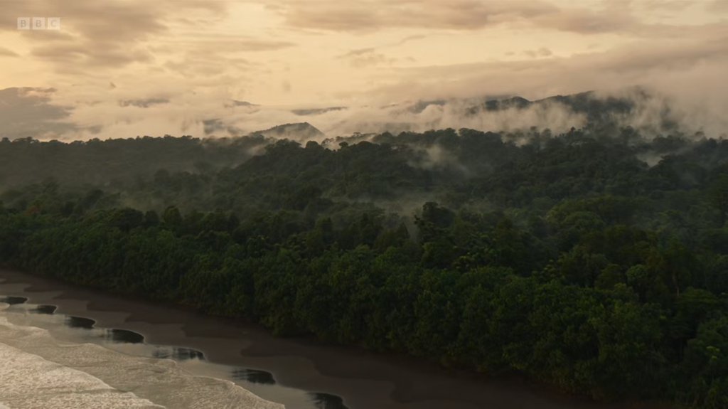 [Image: m7u6a9lwqve8.png]