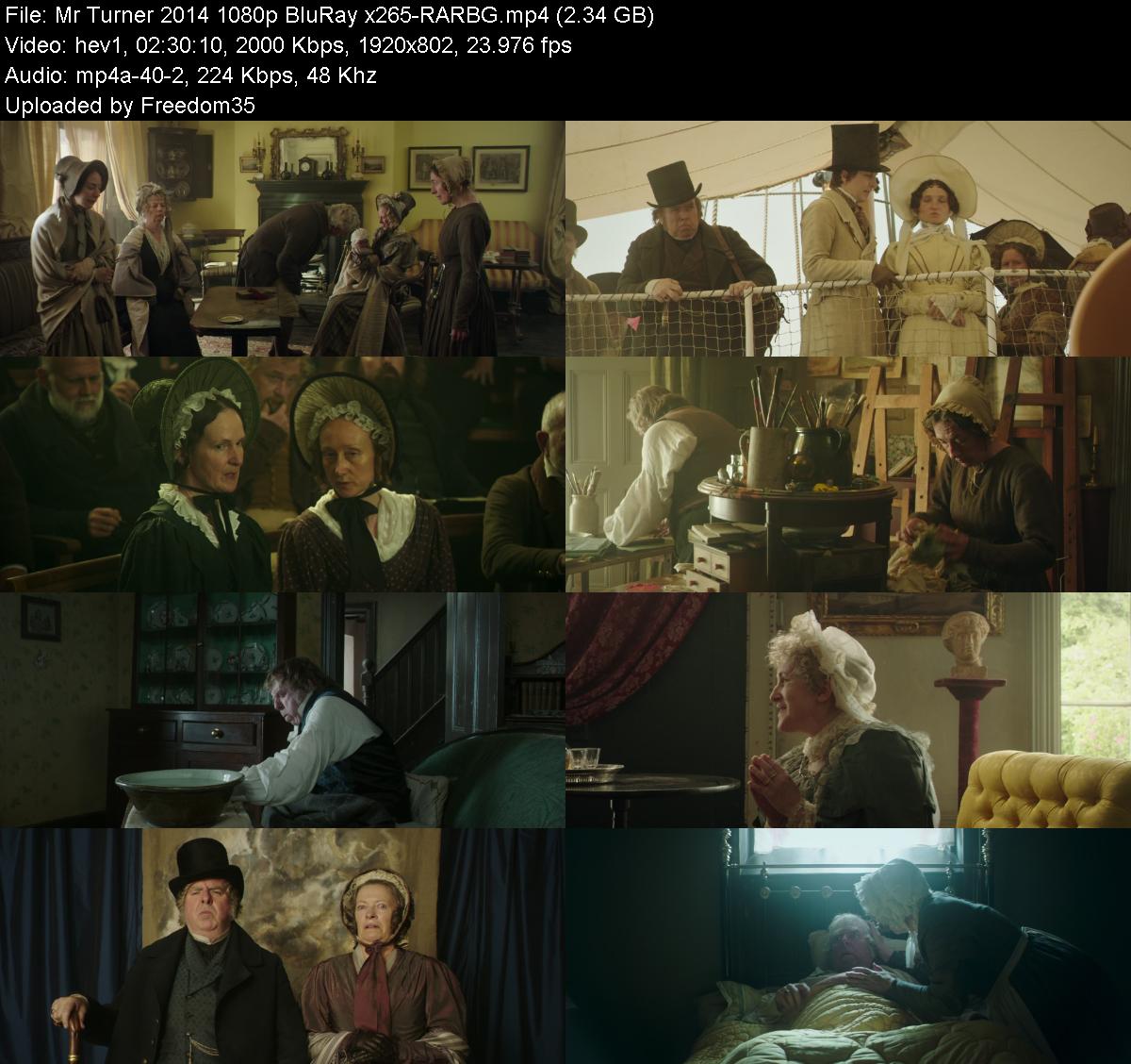 Mr-Turner-2014-1080p-Blu-Ray-x265-RARBG.