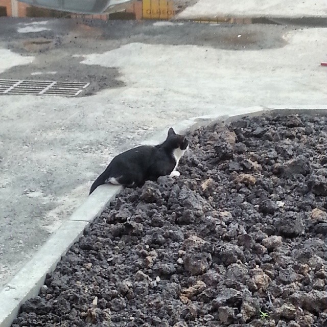 10358216_739174222771725_1408739483_n