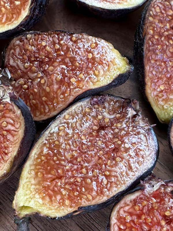figs-57.jpg