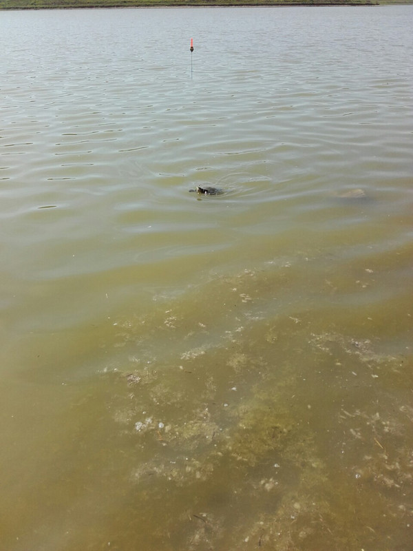 viber_изображение_2019-05-19_10-24-48