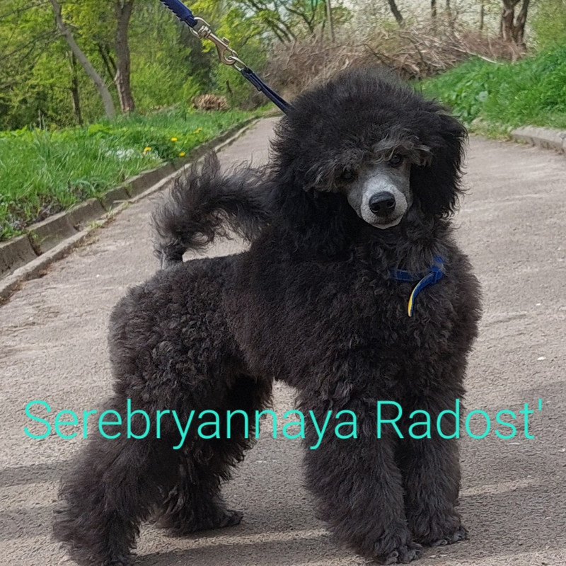 IMG_20230506_183056_130