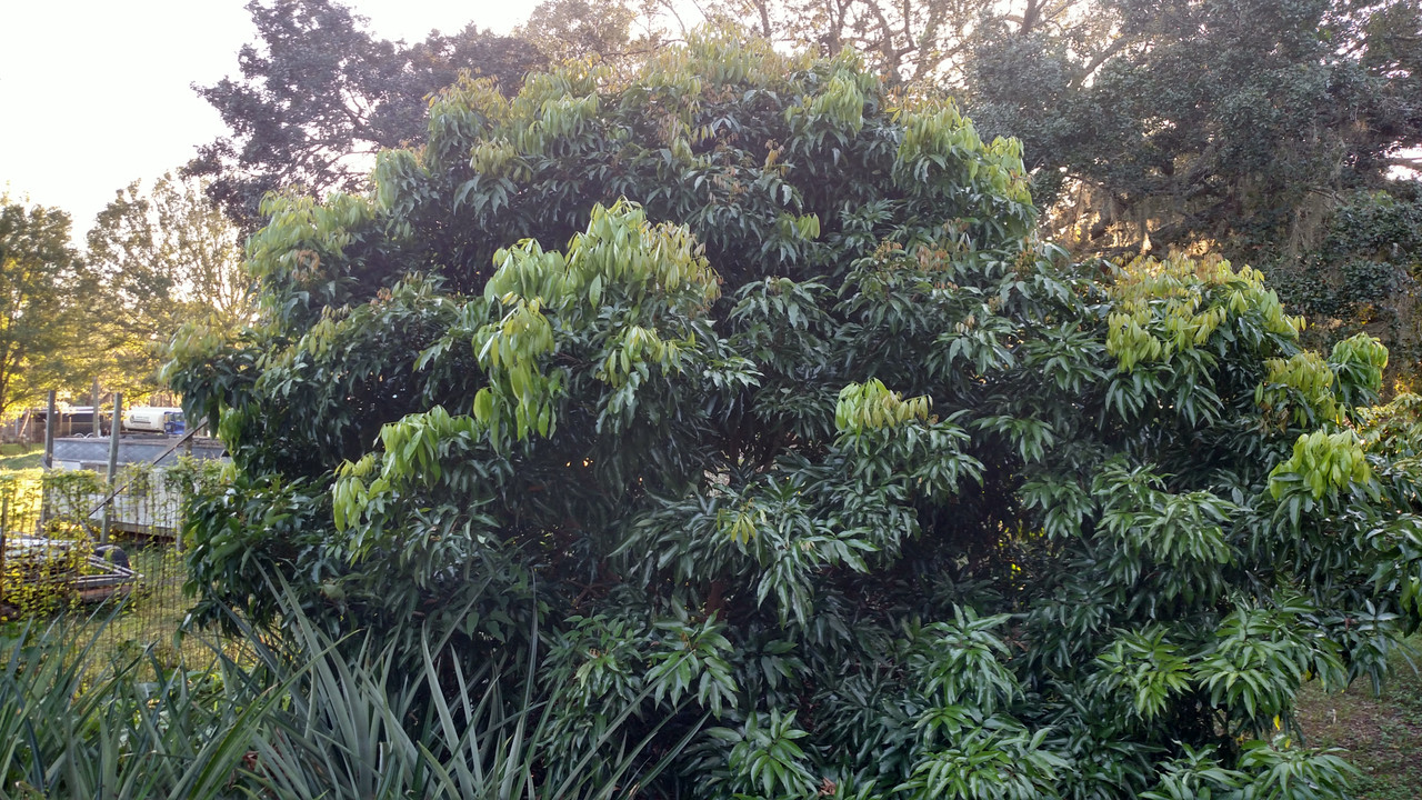 IMG_20201102_165358796_HDR