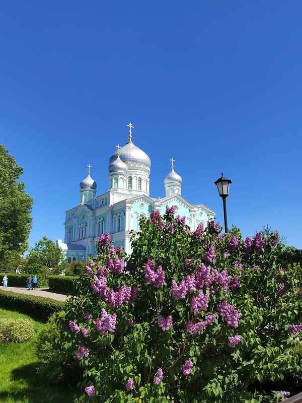 https://i.postimg.cc/PJ0kNmLD/009-IMG-20240525-141539.jpg