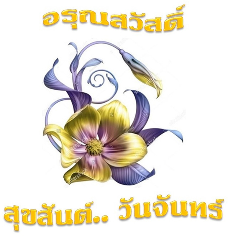 อรุณสวัสดิ์ วันจันทร์ 13