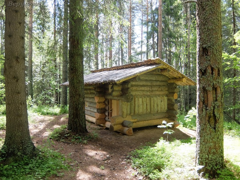 DSCF7896