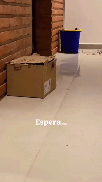 ezgif-25b53fc5117708a9.gif