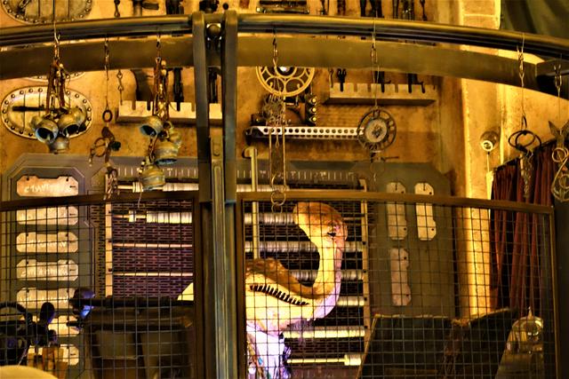 DOK-ONDAR DEN OF ANTIQUITIES: Tienda-museo para amantes de Star Wars - DISNEYLAND ~ STAR WARS: GALAXY'S EDGE, LA GUIA (10)
