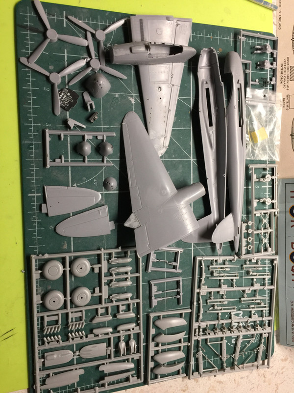 11E04402-59A5-4AC9-AA89-E5DBF02246DB