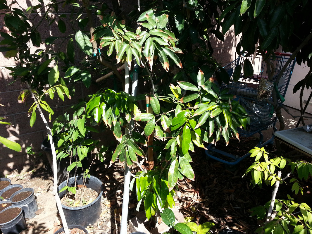 20150622_100450