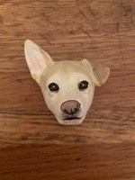 Pet keepsake customer photo
