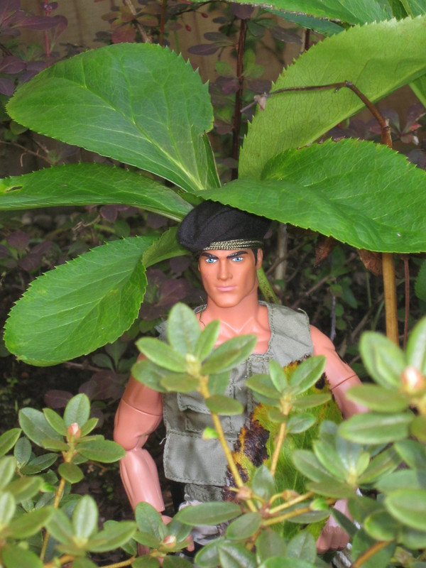 My Action Man posing in the garden    (Ackie88) IMG-1010