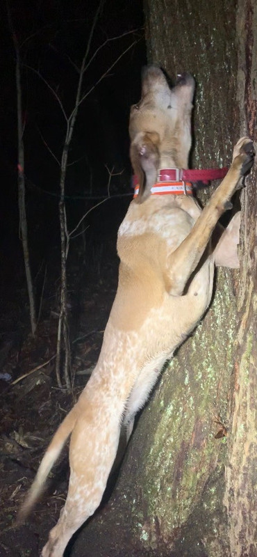 Resized_Screensho004 (1)