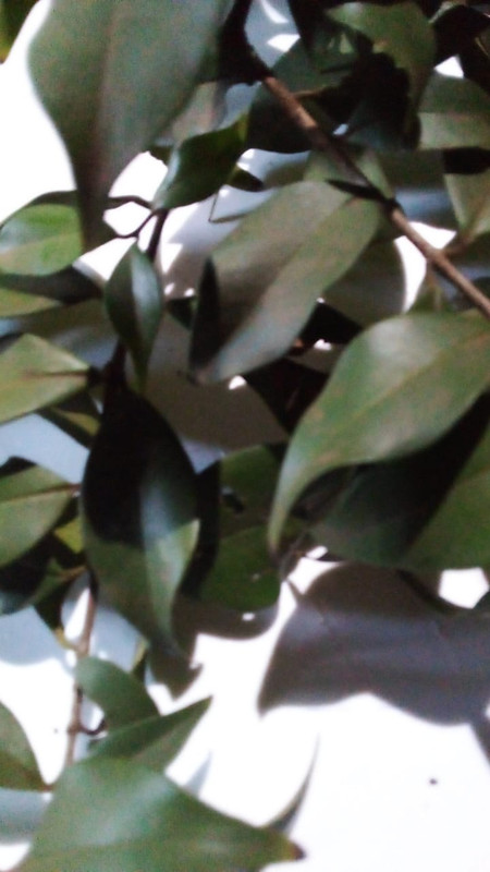 WhatsApp Image 2022-05-12 at 4.12.47 PM