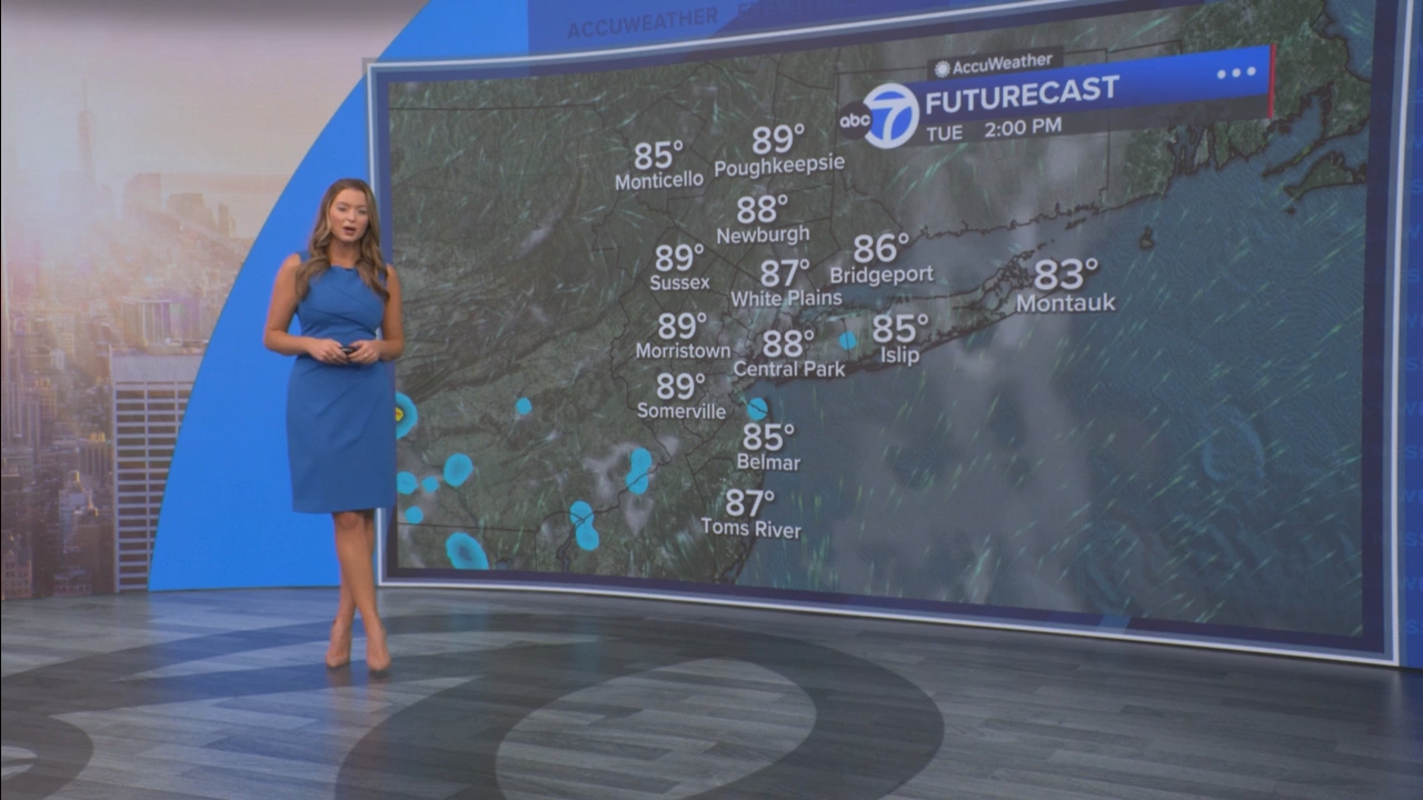 Eyewitness News Mornings at 10_20250811_15001600.ts_snapshot_22.29.348