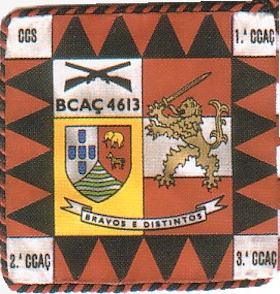 BCac4613