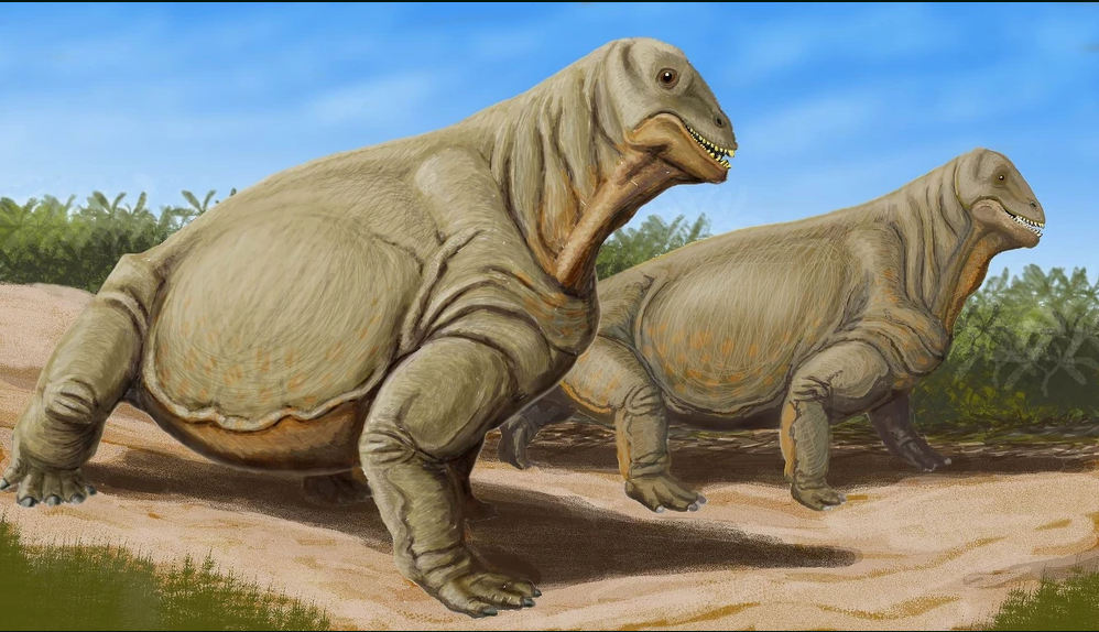 Moschops Preview