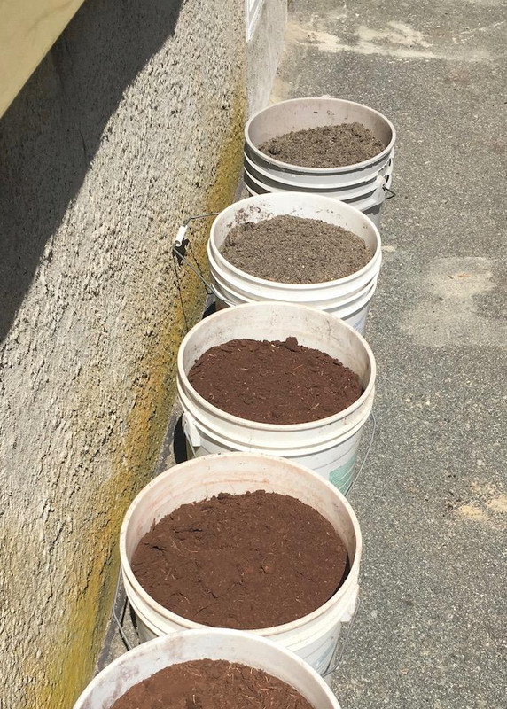 2017_Shaded_Hell_Strip_Seeddown_5_small