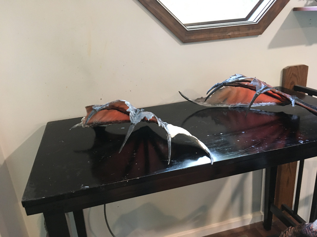 F9DC9954-9F6A-4843-A90E-2C685657FA72