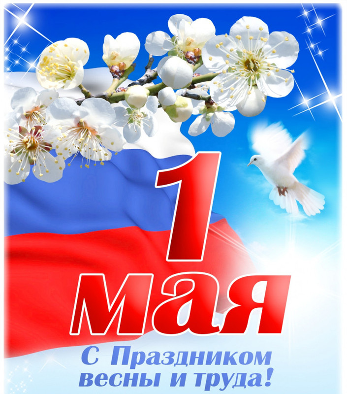 91A72D08-79E1-4061-8C54-3502226A6558