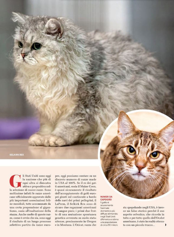 Ga Ma Feb-Mar 2024 (2)