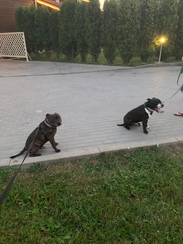 BE2AF88E-954C-41C4-A54C-29DE67A8B024