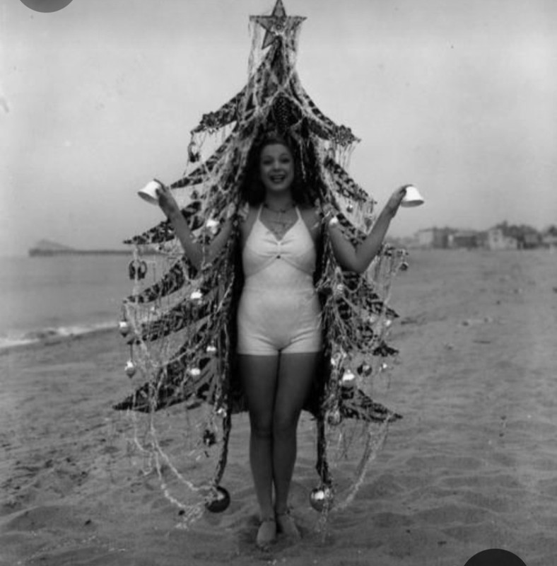 Screenshot_20231212_183405_Pinterest