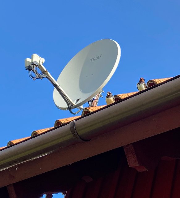 D0-C742-C1-914-D-4-B1-F-9287-9908-DB7-A4