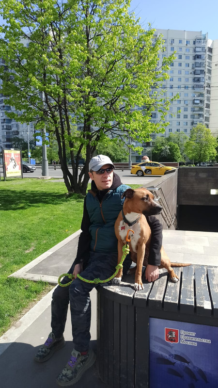 D0AE1BA2-7220-42BB-A3B8-5DB2D88E602A