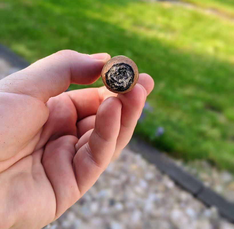 00100lrPORTRAIT_00100_BURST20200623191348951_COVER