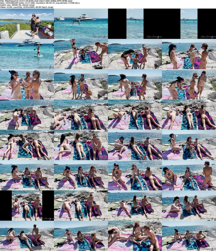 03082023052353screenshot