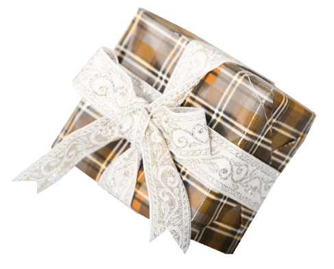 beautiful_reindeer_26