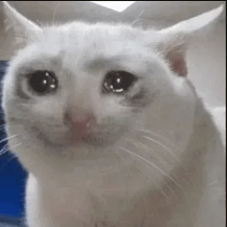 Capture.png