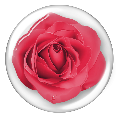 BIBI-PINK ANGEL ELEMS (87)