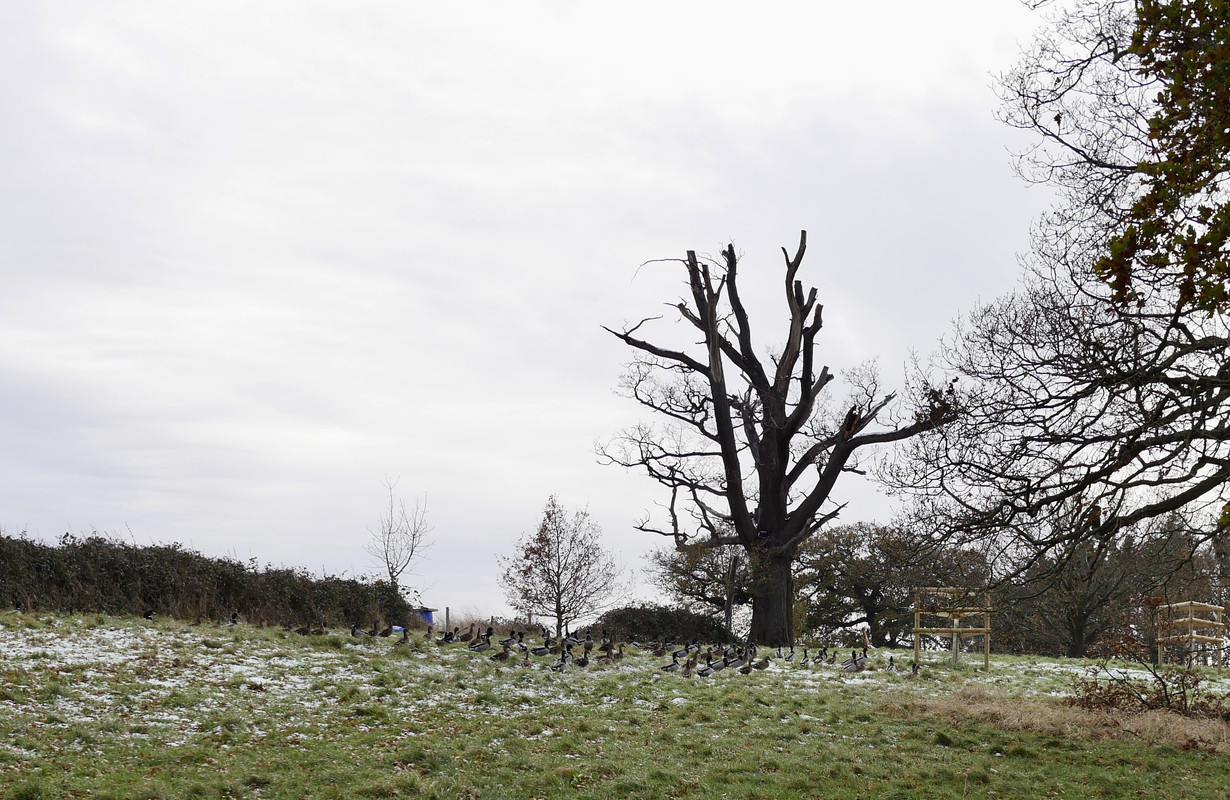 35C27AA9-D991-45E2-B572-8EB21712F901