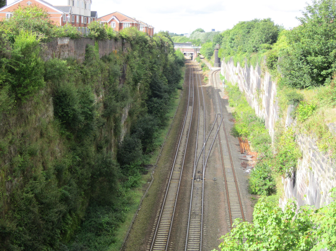Olive_Mount_railway_cutting,_Liverpool_(1)