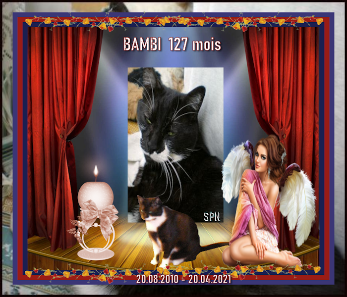 BAMBI-127-MOIS