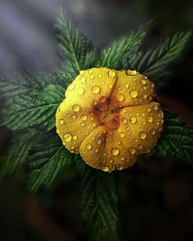 ASTlGLaJLjAmy5UmBmRlosdimiGitTyDuUX3czd_nSUHH3sH3z9_xwb2XB9lThgxwji_BKx01Z1Qi5CtyjlubzGC