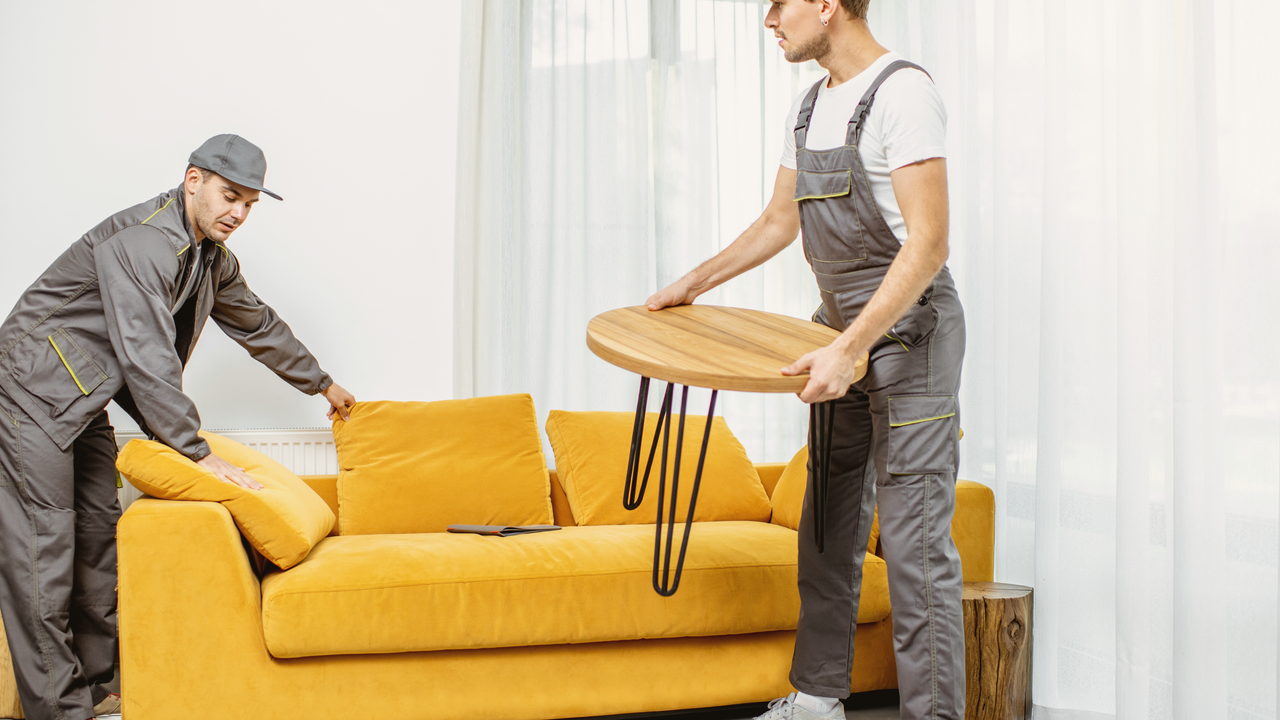 Green Couch Removal Tips for New York Residents